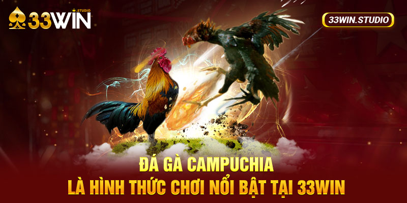 Đá gà campuchia là hình thức chơi nổi bật tại 33WIN