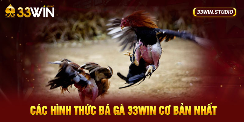 Các hình thức Đá gà 33WIN cơ bản nhất