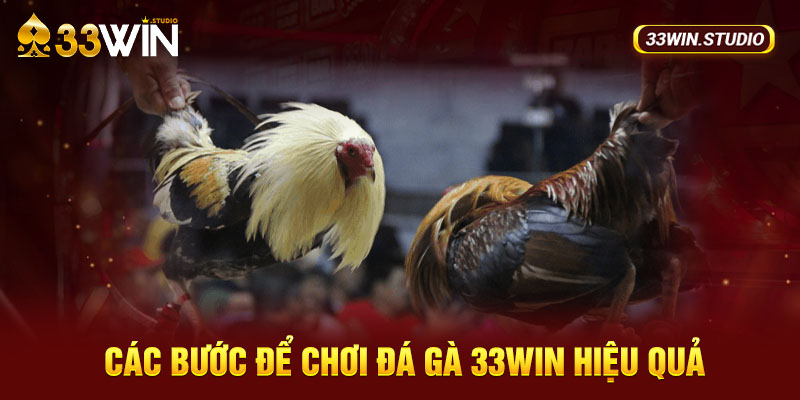 Các bước để chơi Đá gà 33WIN hiệu quả